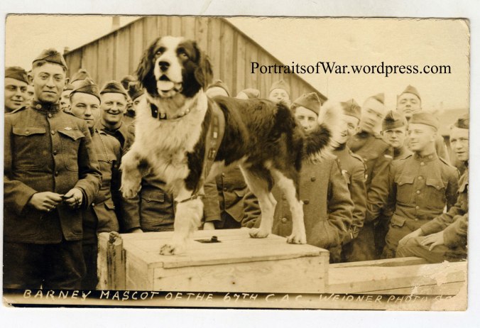 Barney the 67th CAC Saint Bernard Mascot