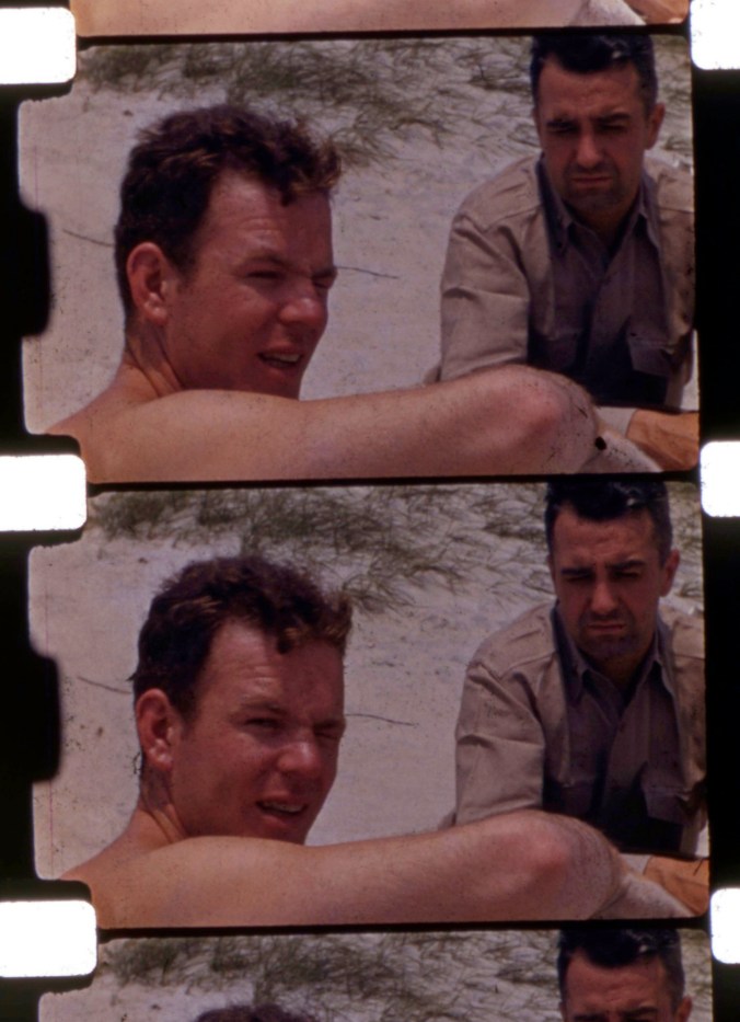 Scanned Cells Showing Color 